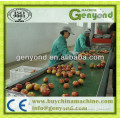 Fruit cleaning machine fruit waxing machine fruit grading machine